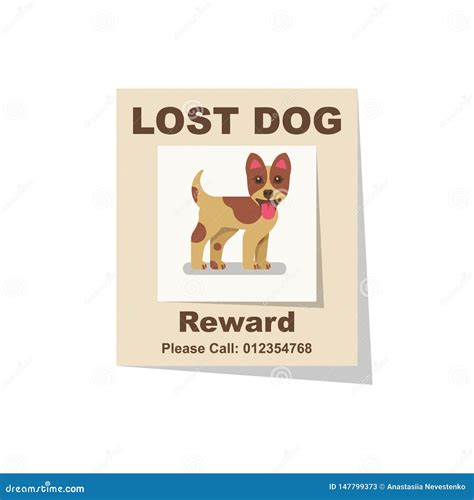 How Do You Find A Missing Dog