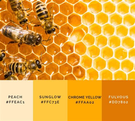 99 Shades Of Yellow Color With Names Hex Rgb And Cmyk 2023 • Colors Explained
