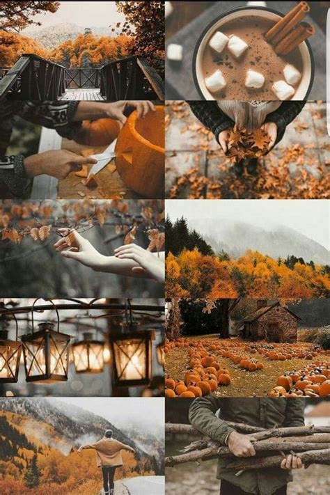 Fall Mood Board Grey Orange And Browns And Green Fall Pictures