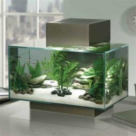 Browse large and small tanks, fresh and saltwater, starter kits & more! Fluval Edge Pewter Aquariums -Amazing Amazon