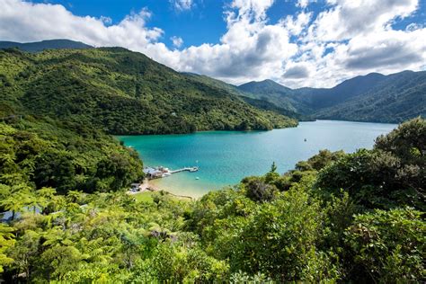 9 Best Spots To Eat Sleep And Stay At Marlborough Sounds