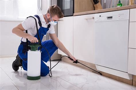 24 hours, 7 days/wk, emergency callout, evening appointments, free estimates, surveys/inspections. Exterminating The Cockroaches with Reliable Pest Control ...