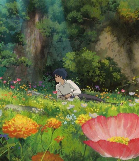 A Studio Ghibli Wallpaper A Day Keeps The Doctor Away Anime Amino
