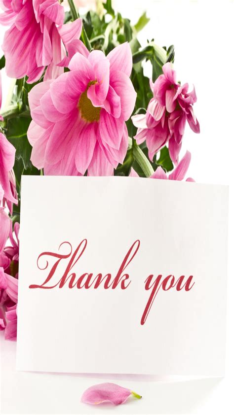 Thank You With Pink Flowers Iphone 6 Full Hd Latest Wallpapers
