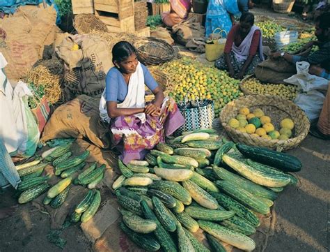 26 best images about Kerala Village Life on Pinterest | Runners