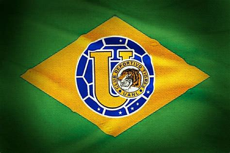 Tigres UANL allá Brasil 6 Estrellas Wallpaper... | Chicago ...