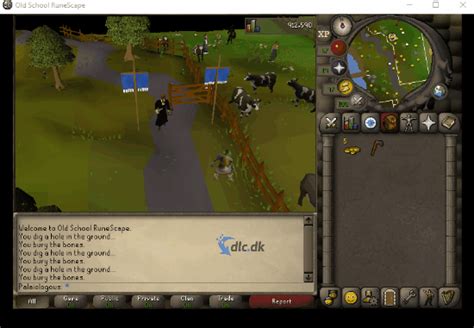 Download Old School Runescape Osrs2007 Gratis Här