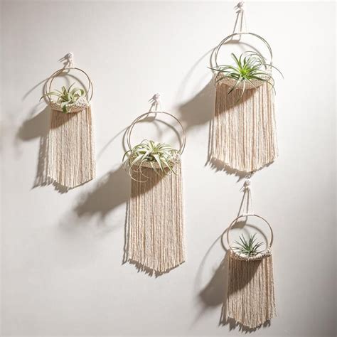 Macrame Air Plant Wall Hanging Air Plant Wall Hanging Display Etsy