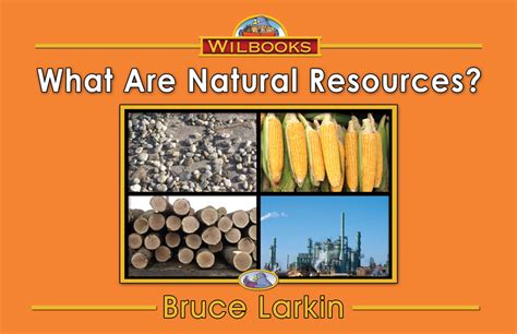 What Are Natural Resources First Grade Book Wilbooks