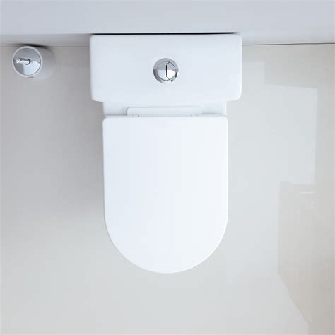 Horow Dual Flush One Piece Toilet 10 Inch Rough With High Efficiency