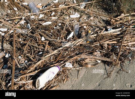 Plastic Bottle Waste On Wild Sea Coast Polluted Ecosystemplanet Save