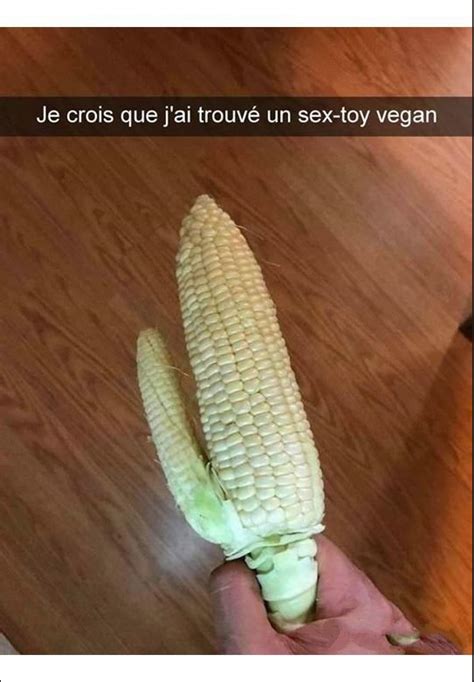 Image Drôle Du Jour Sex Toy Vegan Breakforbuzz