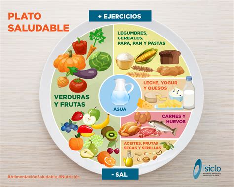 El Plato Del Bien Comer Nutricion Sonutricion Soporte Y Orientacion Images