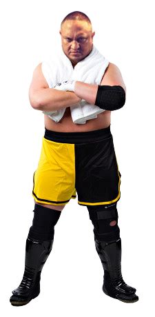 Hey, are you looking best samoa joe png and you want to download these png images so this blog for you. Image - Samoajoe full 1.png | Pro Wrestling | FANDOM ...