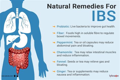 Natural Remedies For Ibs By Dr Naveen Kumar Lybrate