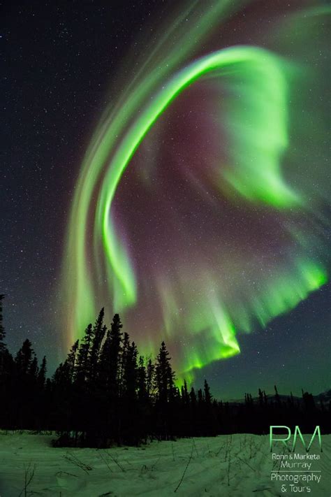 Auroras Northern Lights Aurora Borealis Northern Lights Alaska