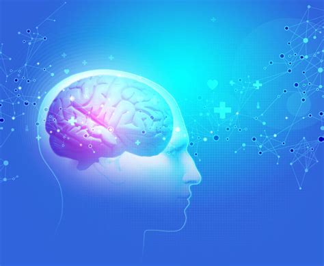Scientists Can Now Predict Human Thought In Real Time Learning Mind