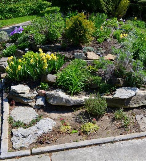 Although a rough sketch is a useful guide for planting. Four Easy Rock Garden Design Ideas with Pictures ...