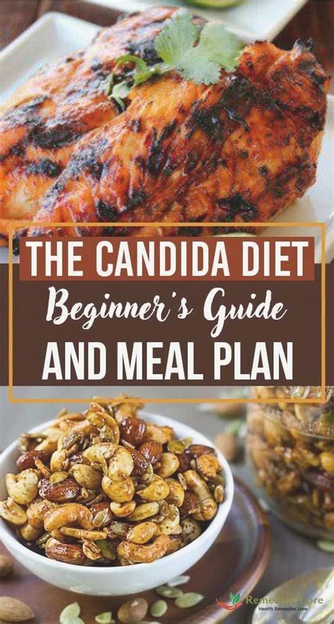 The Candida Diet Beginners Guide And Meal Plan Beginners Candida