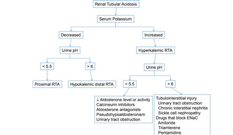 Renal Tubular Acidosis Differential Diagnosis Algorithm Decreased GrepMed
