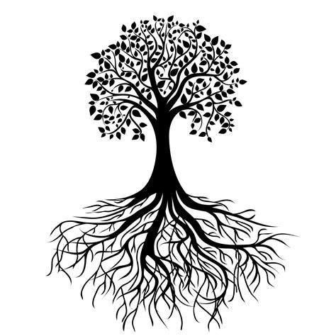 Tree Roots Drawing Clipart Best