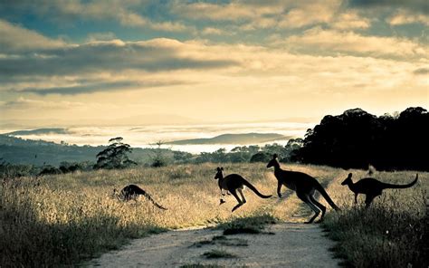 Unique Australian Landscape Photography 5th Is Very Creative Live