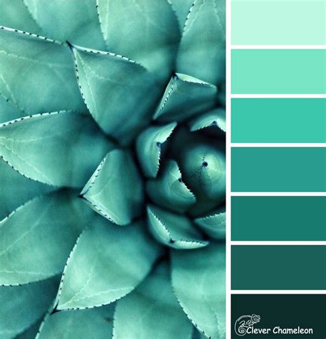 Succulent Blue Green Color Scheme By Clever Chameleon Color
