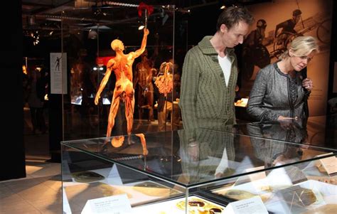 Whats On 101body Worlds Vital 3rd Dec Social 101