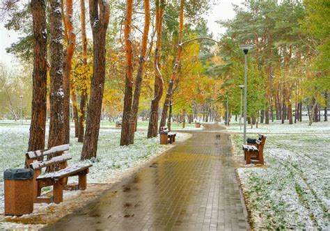 First Snowfall In Bright Colorful City Park In Autumn Lonely Bench On