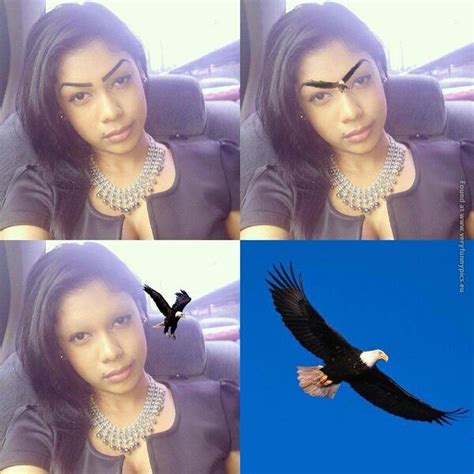 Fake Eyebrows Sometimes They Just Need To Fly Away Imgur