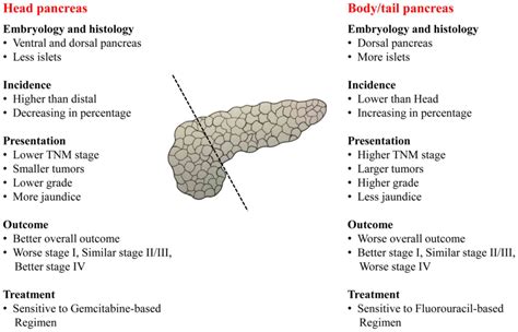 Prognosis Of Distal Pancreatic Cancers Controlled By Stage