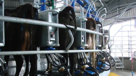 New Data Has Been Added To A Key Tool For Dairy Farmers That Will Help