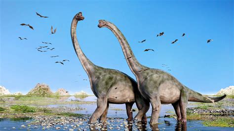 Sauropod Dinosaurs Lived Only In Earths Warmer Regions
