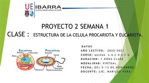 Celula Eucariota Y Procariota By Profemary21 Issuu