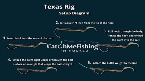 The 6 Best Bass Fishing Rigs With Setup Instructions Catchmefishing