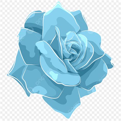 Gambar Bunga Mawar Biru Transparan Mawar Ilustrasi Floral Png Dan