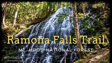 Hiking Ramona Falls Trail In Mt Hood Oregon Youtube