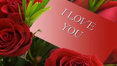 Love Rose Flower Images Free Download Hd 1 810 I Love You Rose Photos