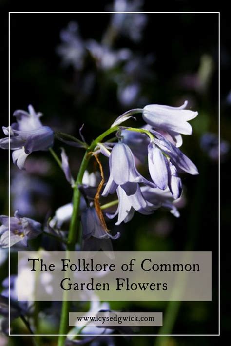 Rhododendrons are a common garden plant that is grown for their brilliant red, pink, white or purple flower clusters that bloom in spring. Folklore of Common Garden Flowers: Bluebells, Daffodils ...
