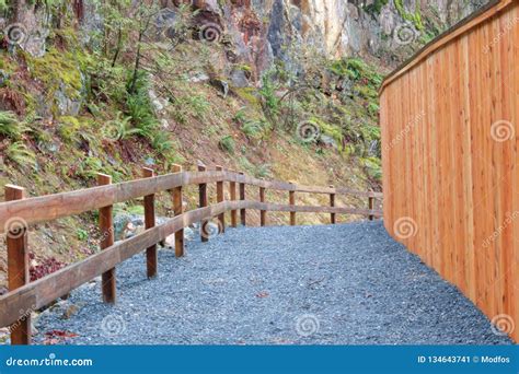 Cedar Fencing And Walkway Stock Image Image Of Outside 134643741