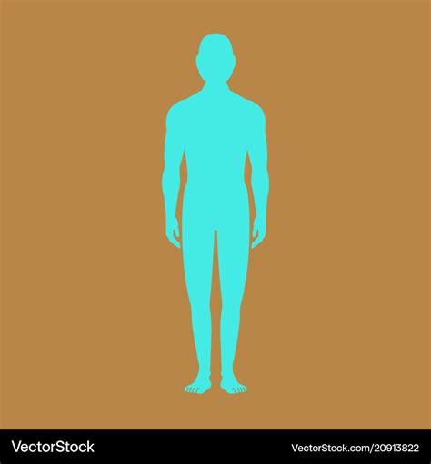 Male Human Body Silhouette With Shadow Royalty Free Vector