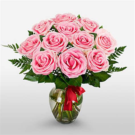 12 Long Stem Pink Roses Usa T 12 Long Stem Pink Roses Fnp