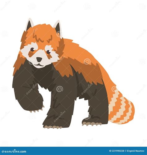 Cute Red Panda Wild Animal Cartoon Vector Illustration Stock Vector