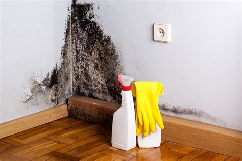 How To Kill Black Mold 7 Natural Ways To Remove Mold