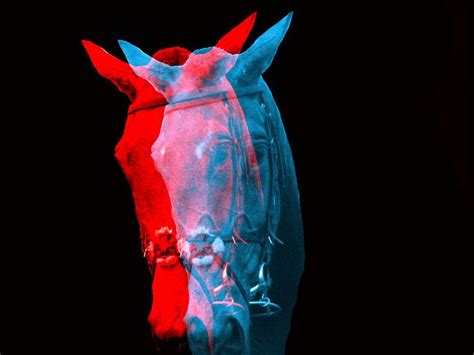 Horses In Red And Blue To Create A 3d Effect Red And Blue Red Art Blue
