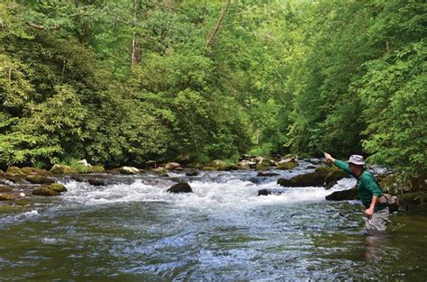 Camp For Trout Deep In The Smokies Coastal Angler And The Angler Magazine