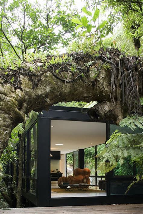 Ejemplos Increíbles De Que La Arquitectura Y La Naturaleza Pueden