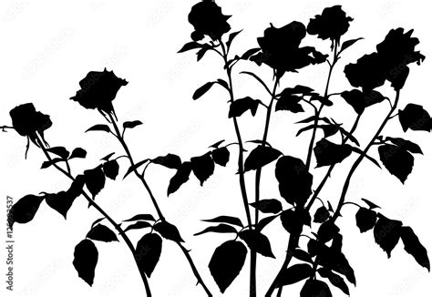 Seven Black Roses Bunch Silhouette Isolated On White Stock Vector
