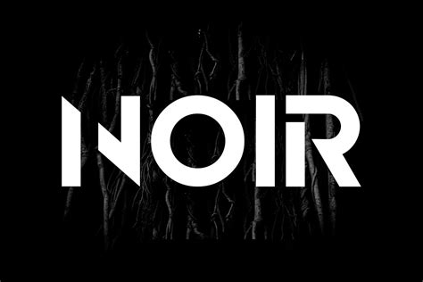 Noir Unique Display Logo Typeface Display Fonts Creative Market