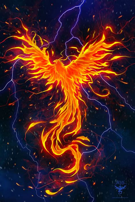 The Phoenix By Amorphisss On Deviantart